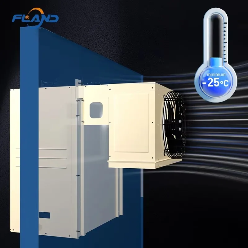 Commercial Rapid-cooling Refrigeration Equipment: Freezer Unit For Frozen Food Storage