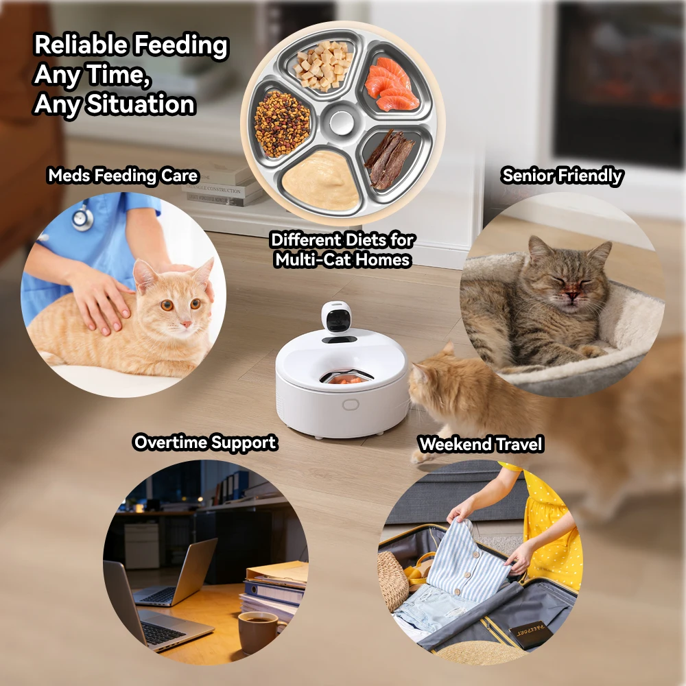 Custom Smart 5 Meals Pet Wet F - đánh giá và giá Kitchen Appliances Video