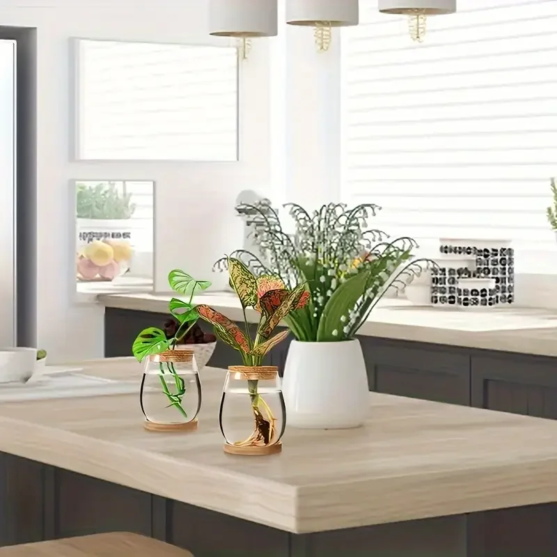 Hydroponic Glass Planter - Modern Propagation Vase for Indoor Plants & Home Decor