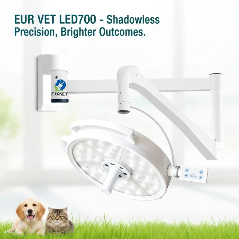 LED700 Single Head Shadowless Operating Lamp 180000lux Adjustable Color Temperature 3700-5000K CRI 85-98 Life AC100-240V