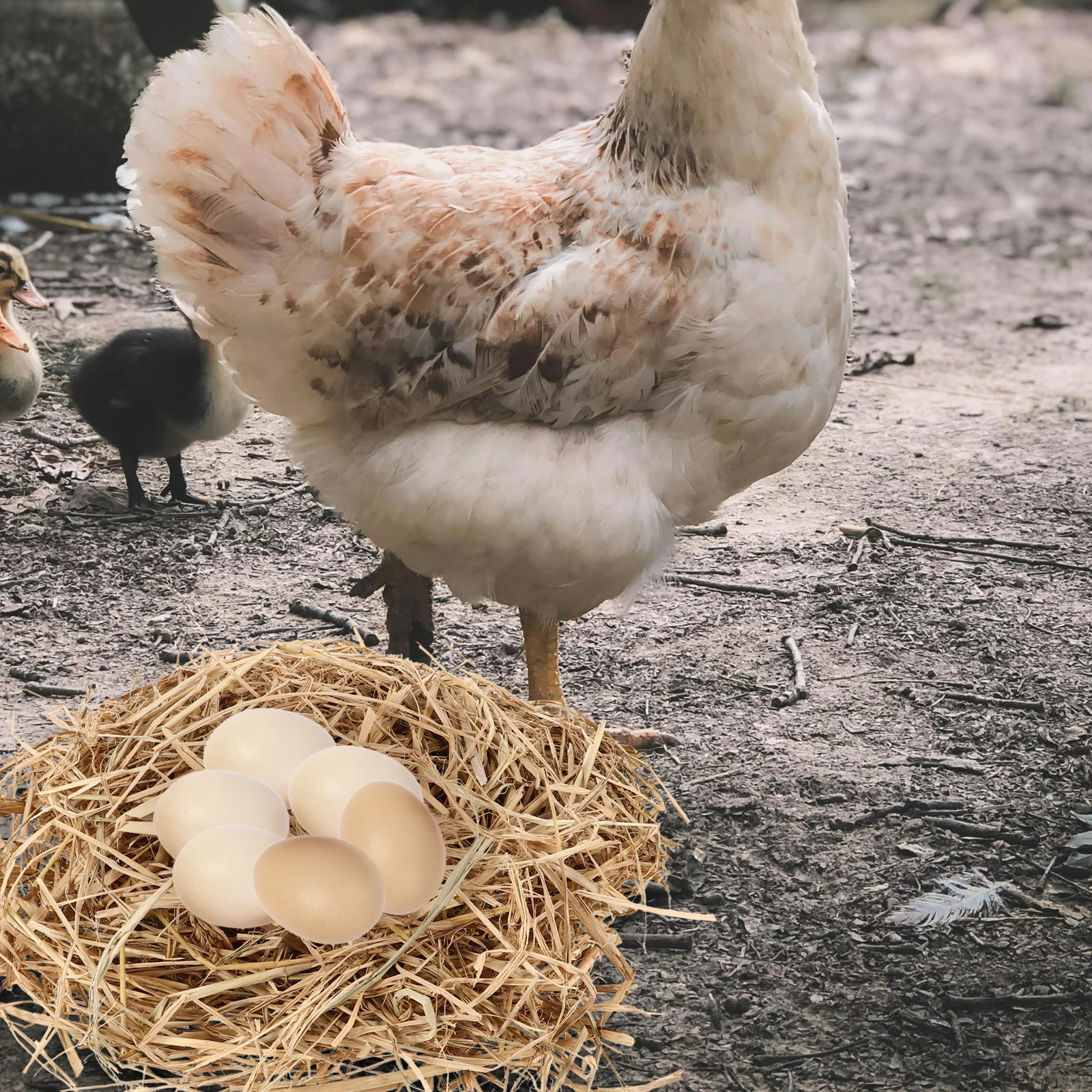 

1 Set Chicken Nesting Shredded Straw Coop Bedding Liner 250G For Hens Nest Box Comfortable Egg Laying Mat Easy Clean Poultry