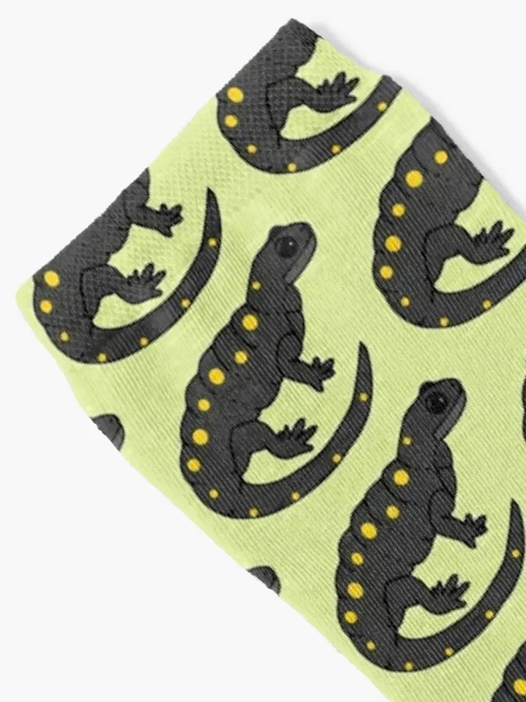 Spotted Salamander Socks man cycling luxury Woman Socks Men's