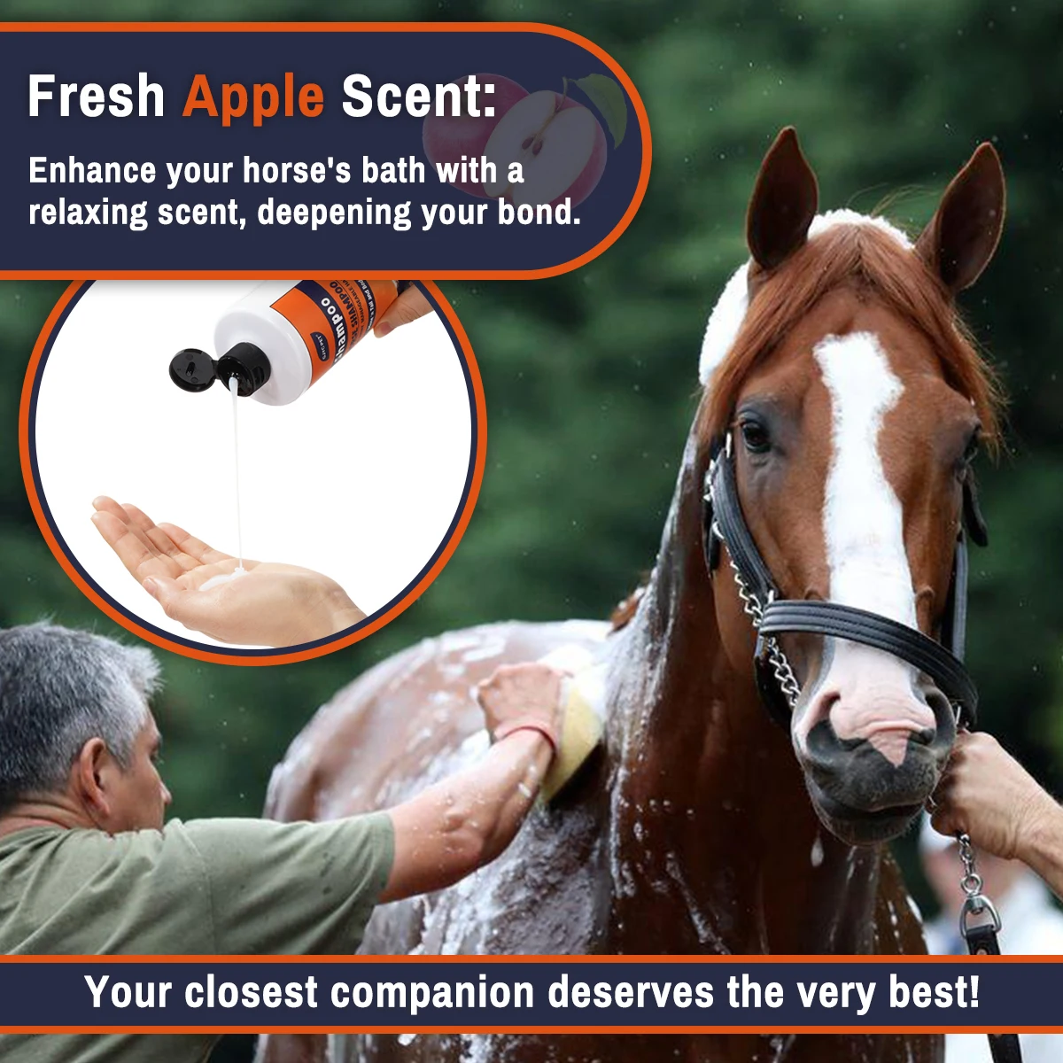 Champú para Caballos con Extractos Naturales de Plantas, Limpieza Profunda, Nutritivo, Hidratante, Suaviza el Pelo y Aporta Brillo, Cuidado Ecuestre