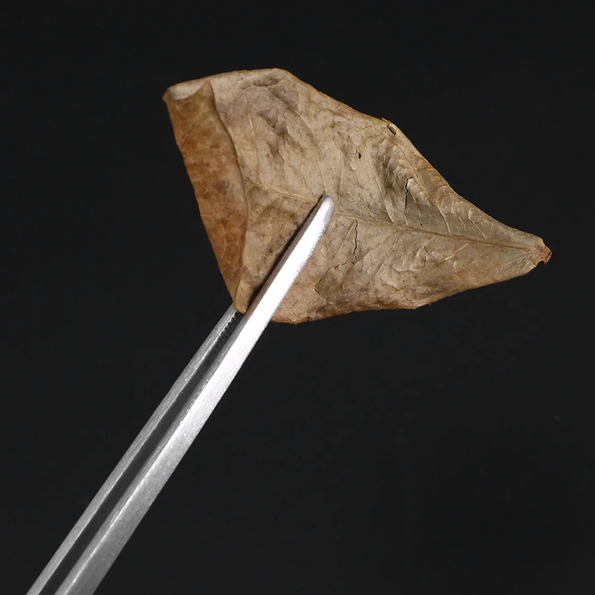 ملقطان ممتازان للنباتات المائية بطول 27 سم من الفولاذ المقاوم للصدأ، طقم أدوات لحوض السمك بتصميم مريح للتقليم الدقيق في المياه العسرة