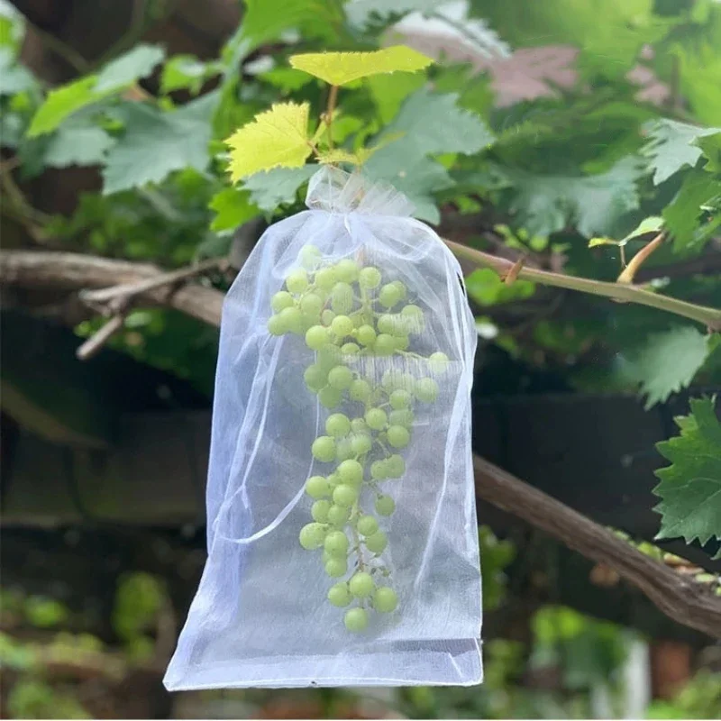 Grow Bag Strawberry Sleeves 50/100pcs Mesh Seeds Vegetabls 30X20cm Grape Bags Protective Organza Breathable Protection