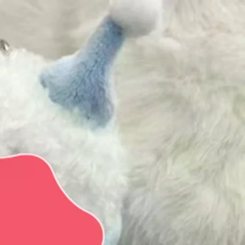 ตุ๊กตาแมวน้ำการ์ตูนน่ารัก ตุ๊กตาหิมะ ตุ๊กตาขนนุ่ม จี้ห้อยกระเป๋า แมวน้ำจำลอง ของตกแต่งกระเป๋าเป้ ของขวัญวันคริสต์มาส ของขวัญวันเกิด