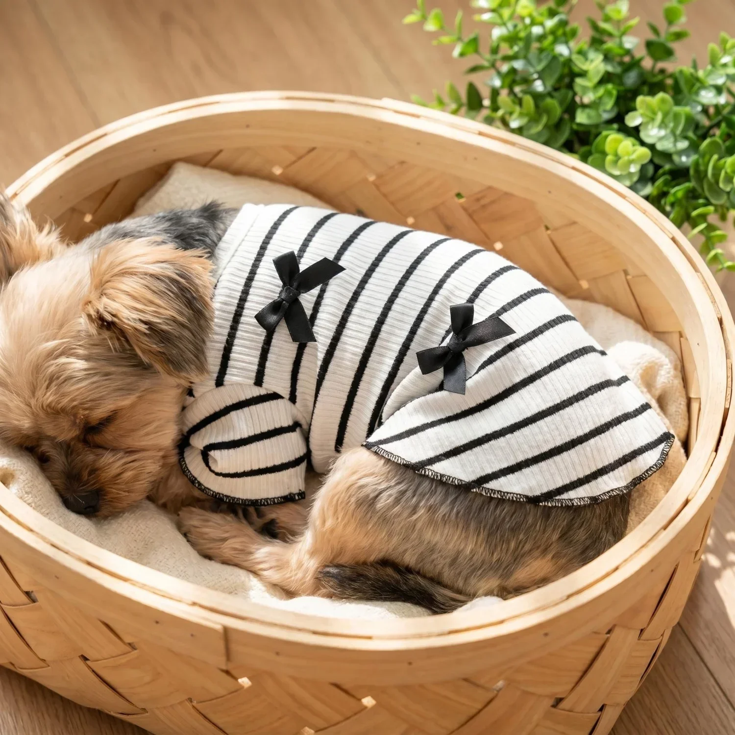 1 Stück Niedliches Hundeshirt mit Schleifendekoration, Gestreift, Weich, Dehnbar, Gerippt, Katzen-T-Shirt, Frühling Sommer Atmungsaktive Haustierkleidung – Detail 17