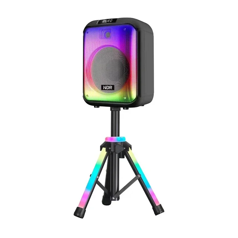 

12 inch meeting karaoke sing big sounds clear voice wireless 2 microphone Vertical speaker with triangle bracket