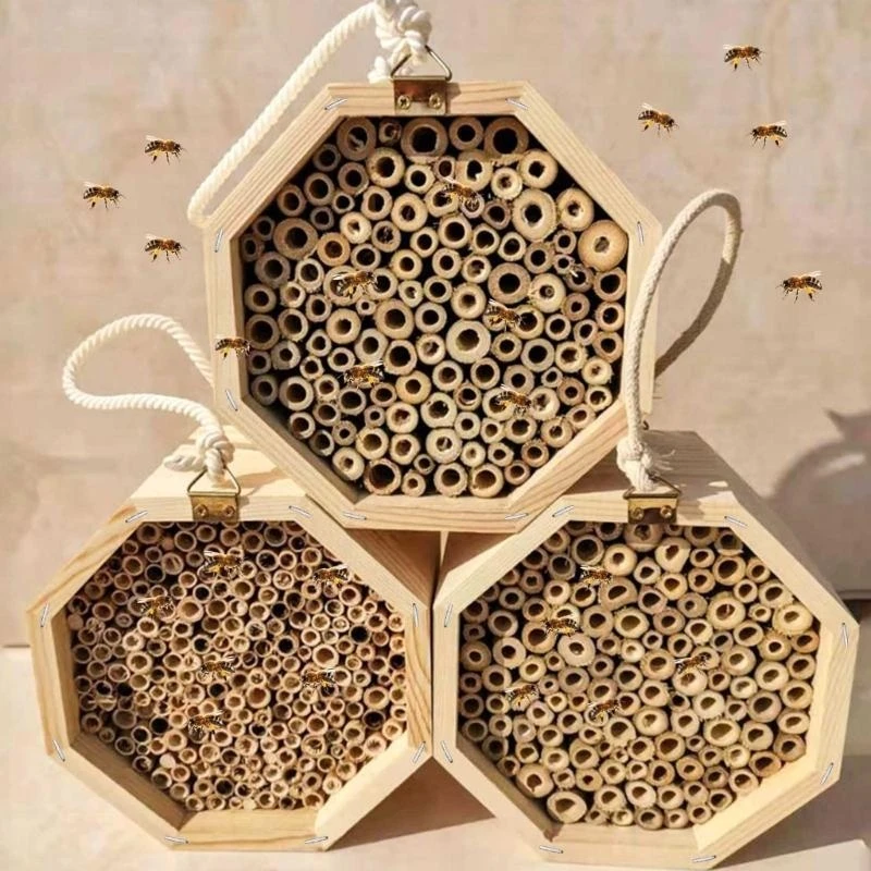 Safe Home for Pollinators Wild Pollinator Habitat Hanging House Garden's Productivity