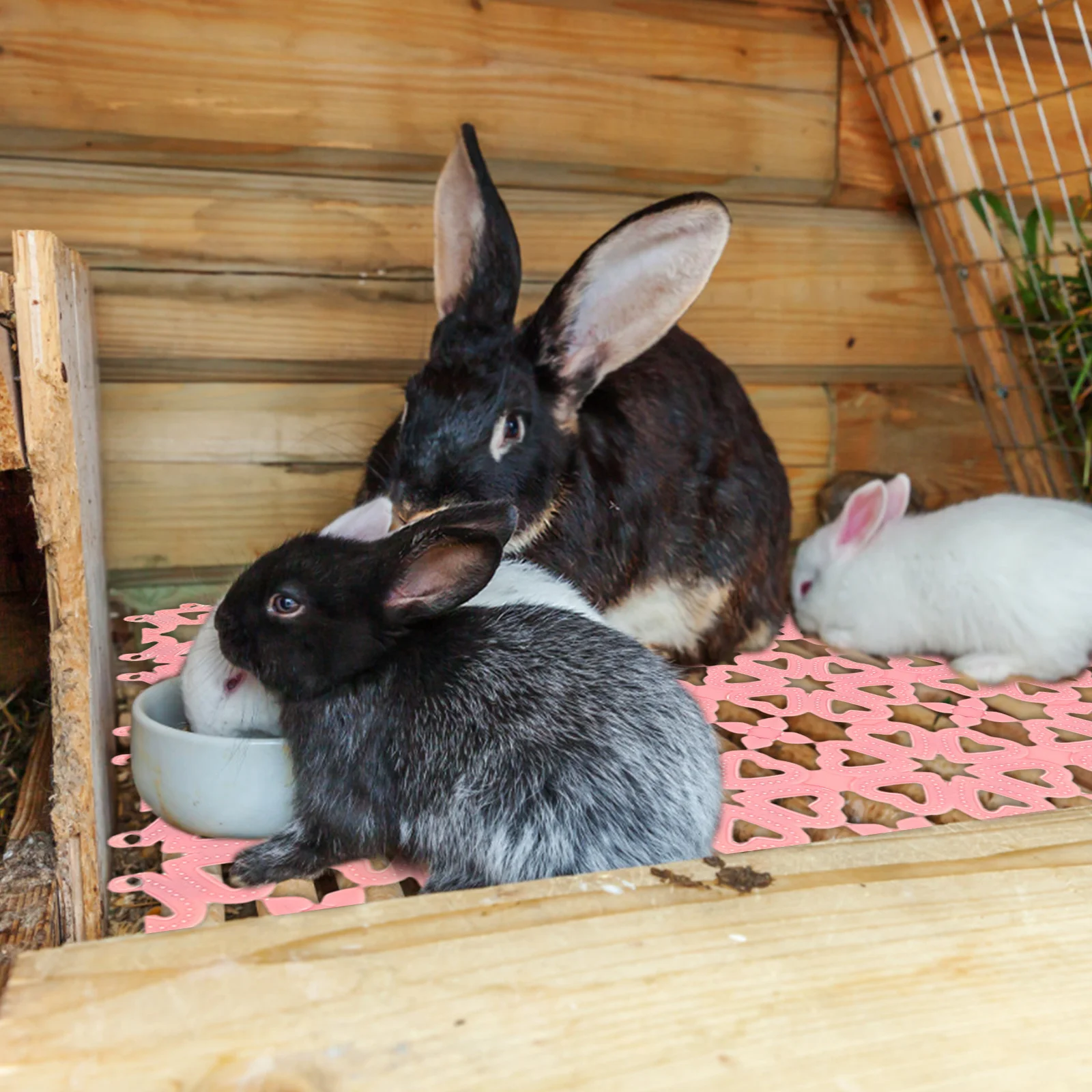 

10Pcs Rabbit Cage Mats Plastic Feet Pads Comfortable Floor Mats for Bunnies Small Animal Pet Usage Rabbit Scratch Mat