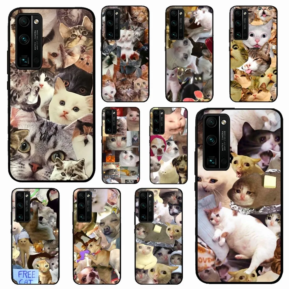 

Crying Cat Memes Phone Case For Huawei Honor 10 lite 9 20 7A pro 9X pro 30 pro 50 pro 60 pro 70 pro plus