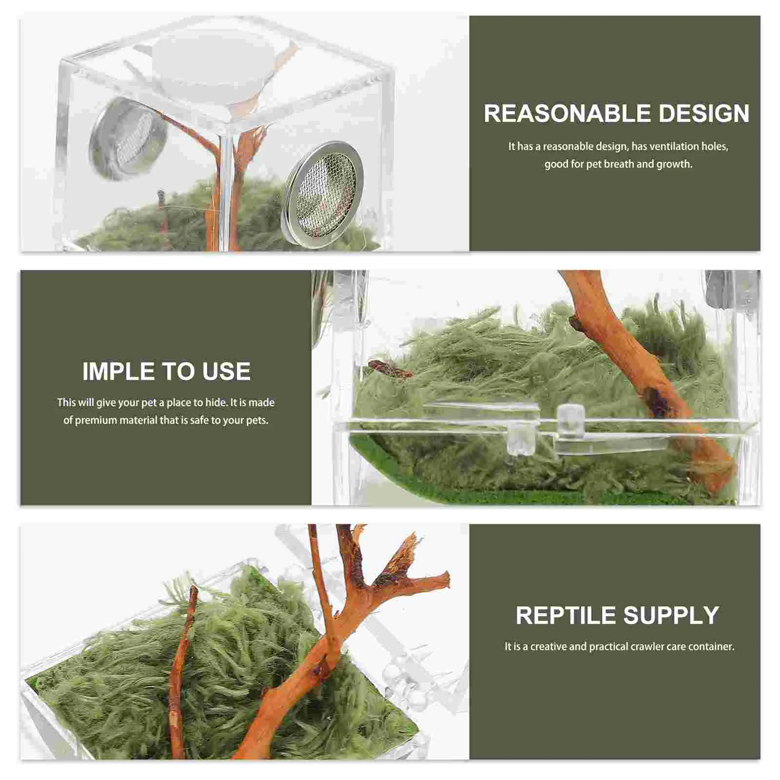 Stick Insect Tank Jumping Spider Breeding Box Habitat Holder Pet Accessory Tarantula Enclosure