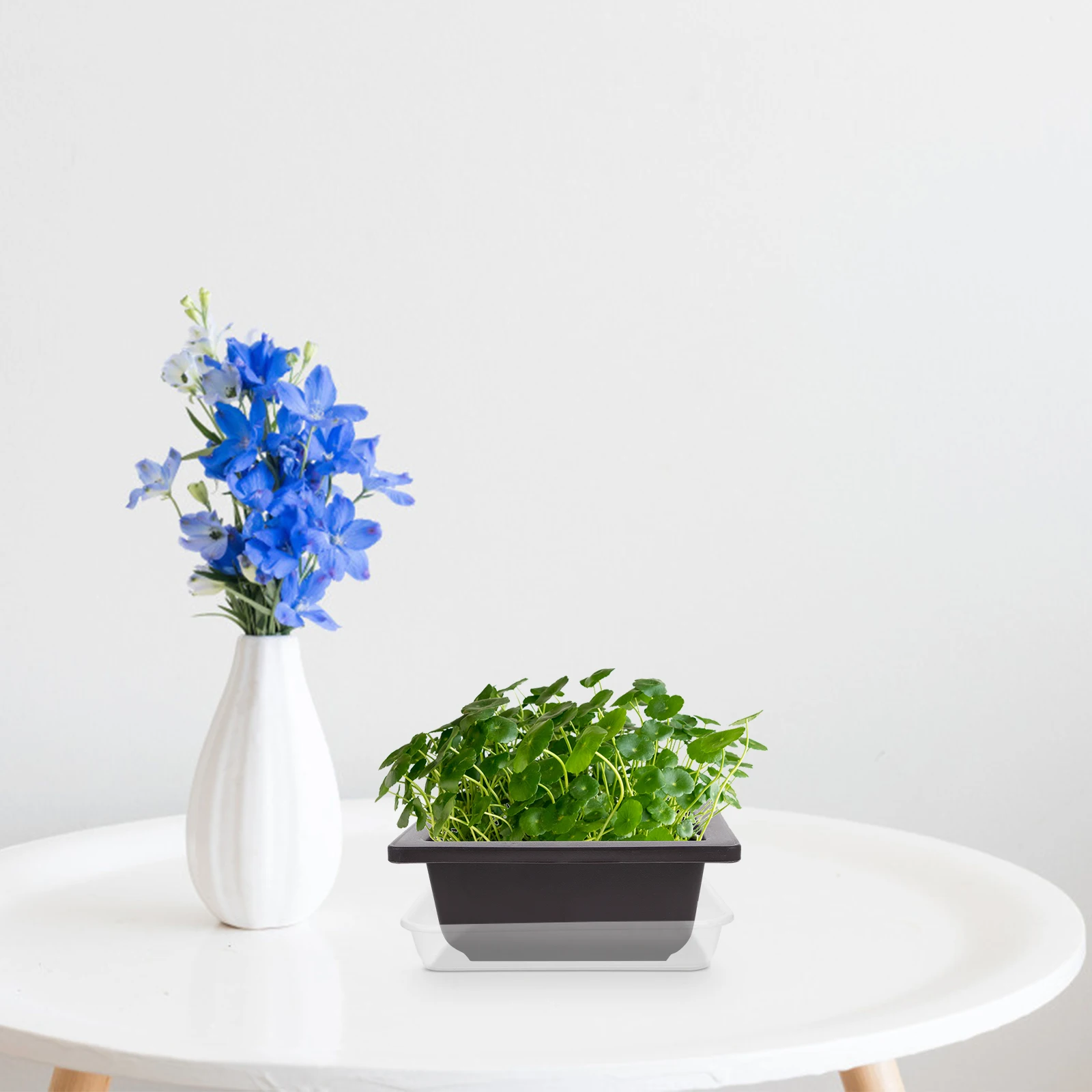 

10 Pcs Square Transparent Base Water Tray for Flower Pot Bottom Saucer Plant Potted Clear Plastic Drains Excess Outdoor