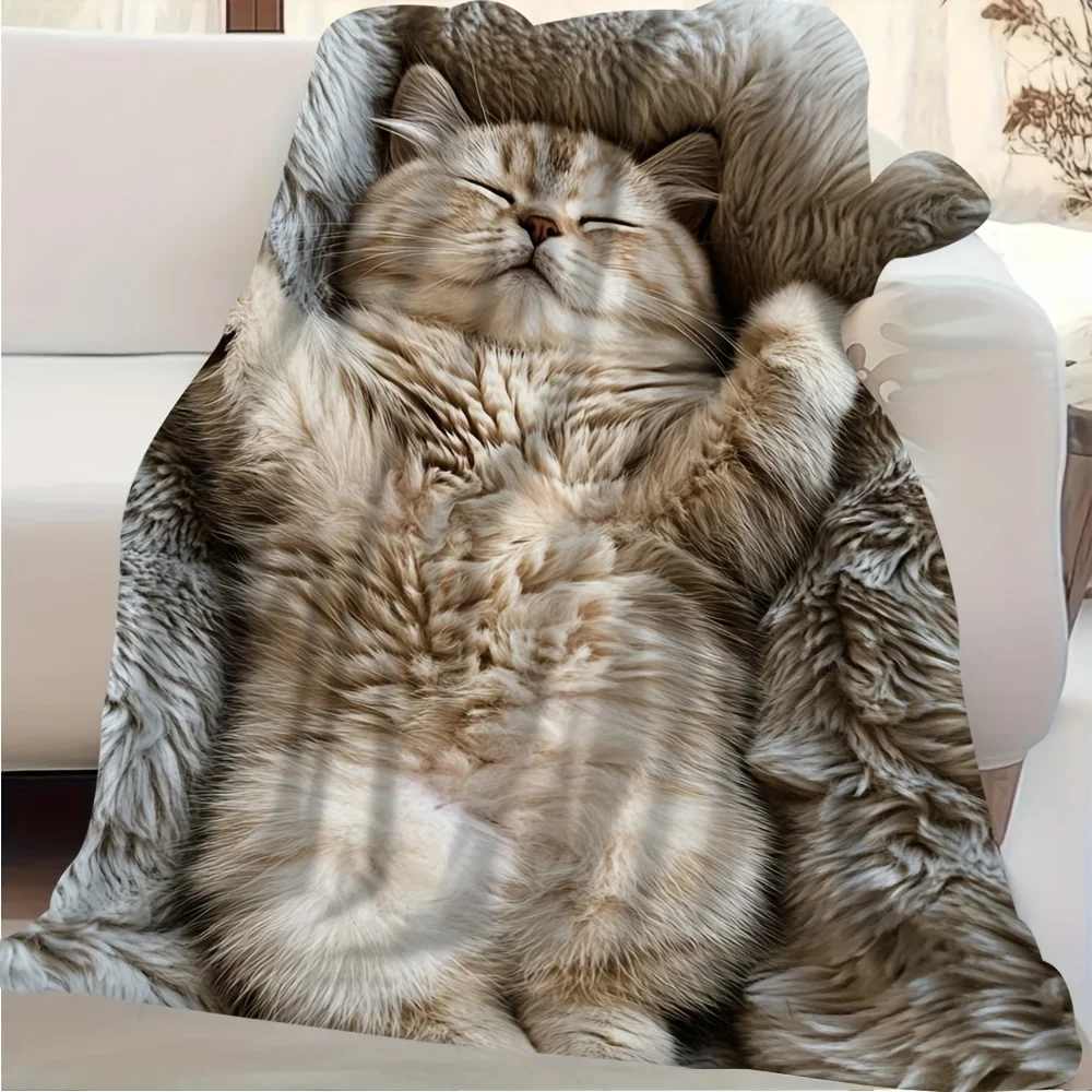 Super Large 60x80 Inch Cozy Plush Blanket - Chubby Scottish Fold Cat Sleeping Design, All-Season Soft Sofa Throw, Machine Washab