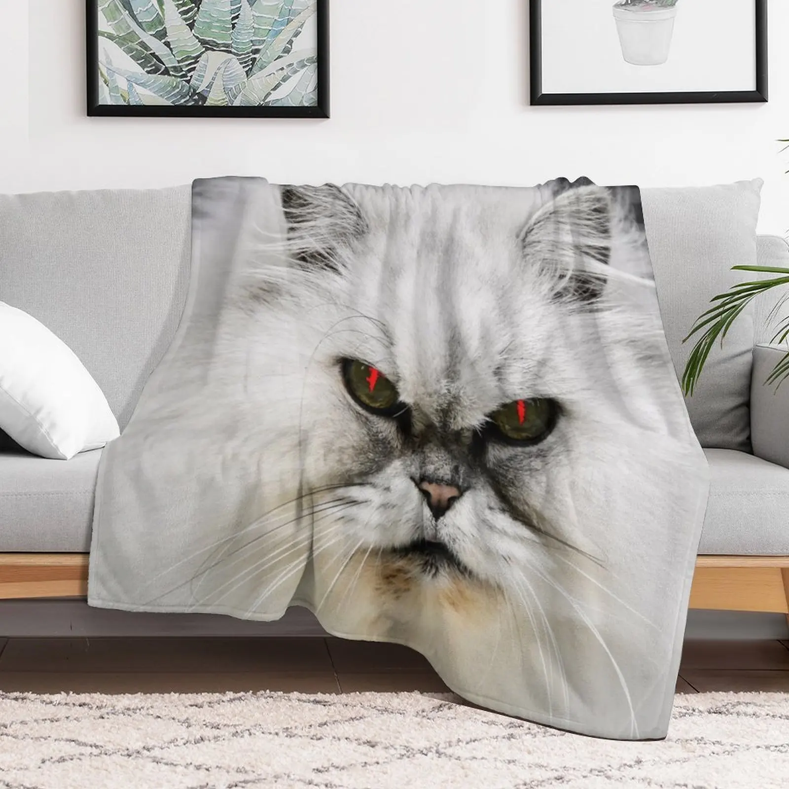 Persian cat / Swiss Artwork Photography Throw Blanket Beach Soft Plaid Blankets