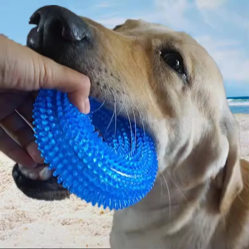 

Dog Chew Toy Durable Squeaky Thorn Ring Interactive Sound Training Natural TPR Rubber Teeth Cleaning Grinding Non Toxic Puppy