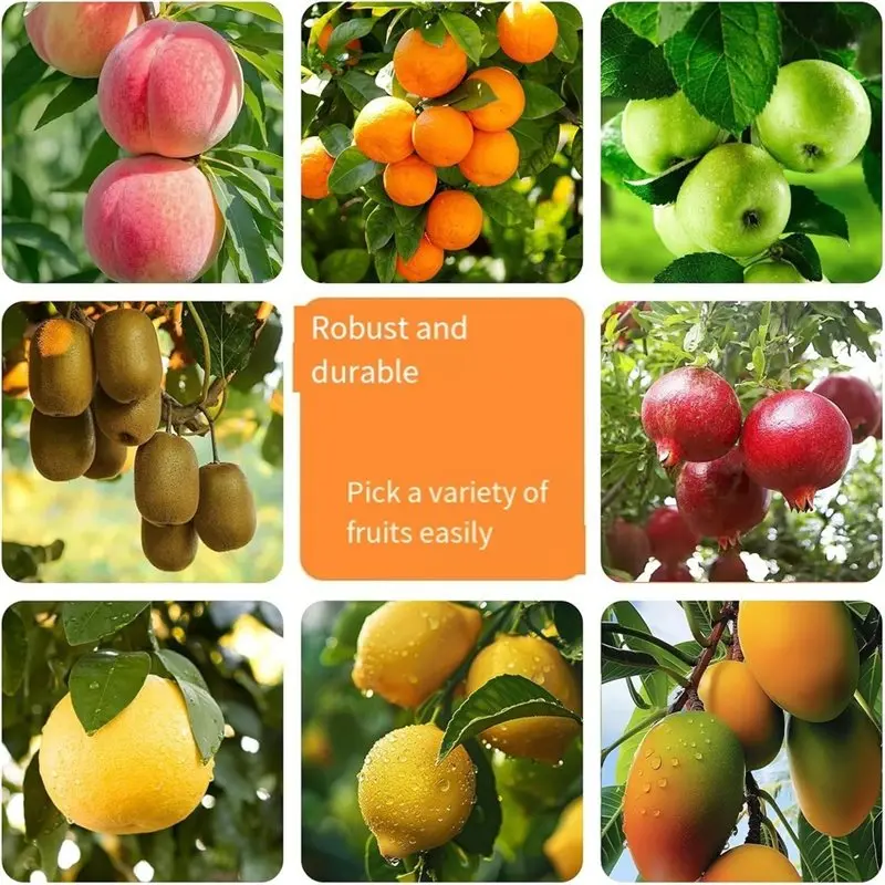 A7THK-Telescoping Handle Fruit Picker 4M Stainless Steel, Orange Picker, Cherry Picker With Cotton Bag