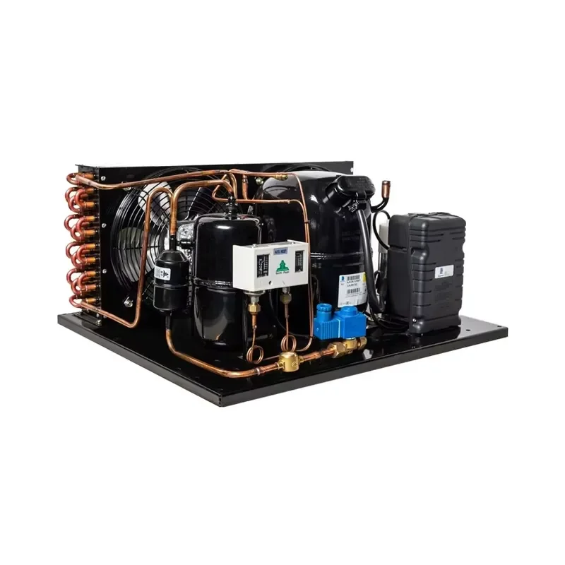 Beifeng 1 Good Sale Open Type Low Temperature R404a Condensing Unit for Small air Cooled Condensing China Refrigeration
