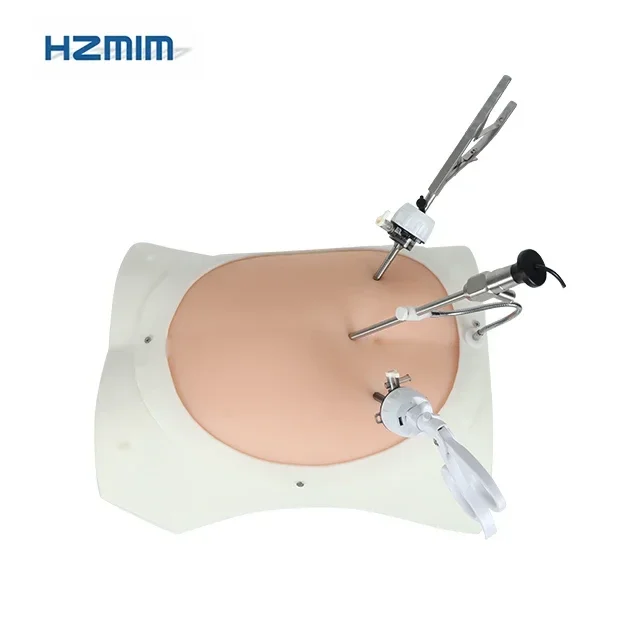2025/Advanced  Vivid Abdominal  Trainer Box simulator  training box with