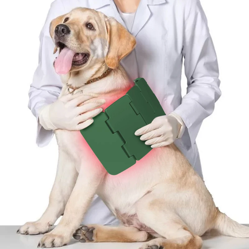 

High-Power Foldable & RED Light Therapy Pad for Veterinary Use Pain Relief Instrument