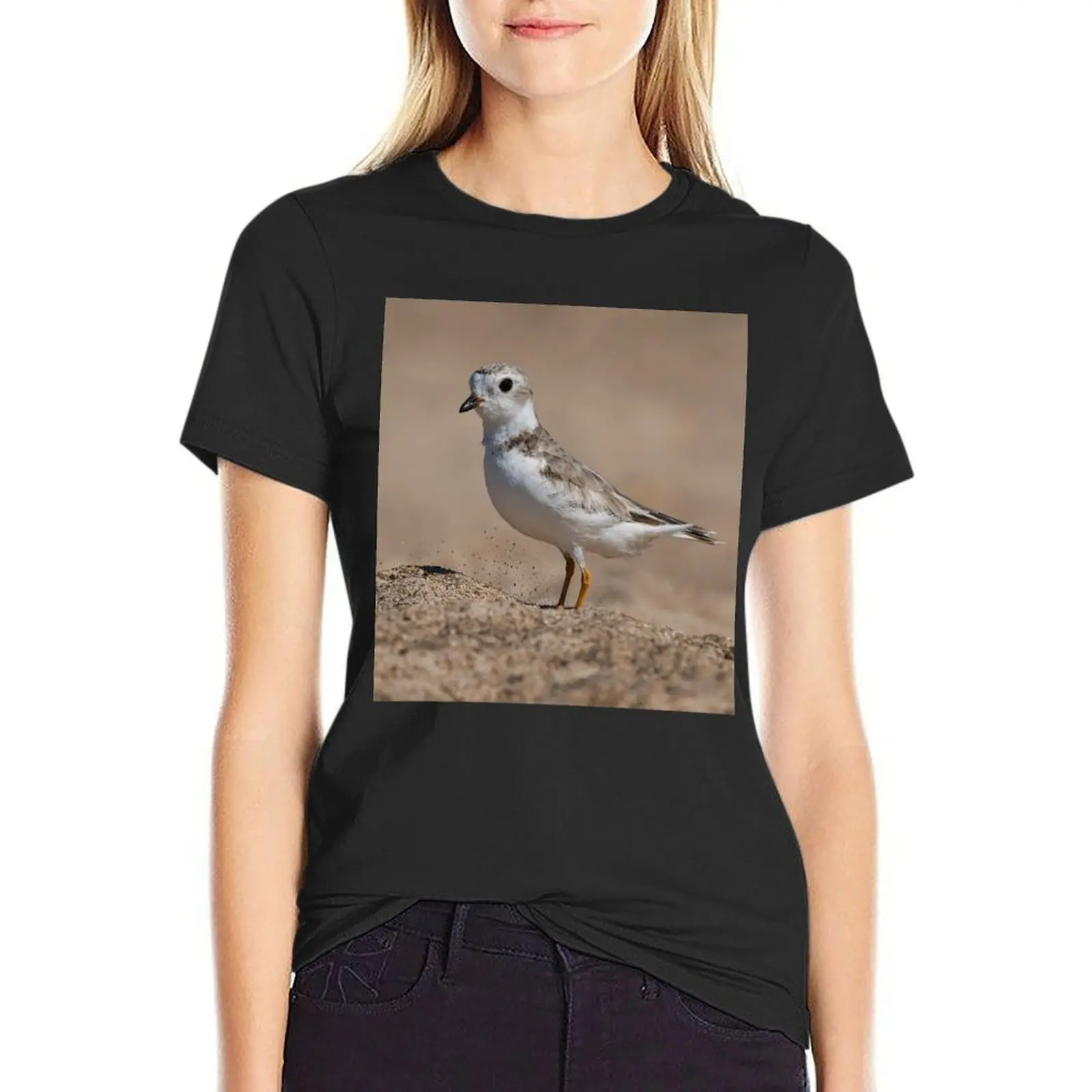 Piping Plover in the Sand T-Shirt Female clothing shirts graphic tees Short sleeve tee womans clothing