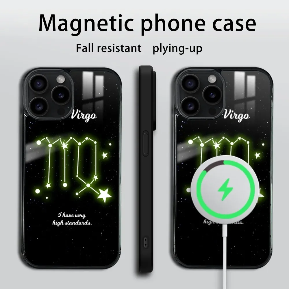 Constellation VRIGO Phone Case For iPhone 16 15 14 13 12 11 Pro Max Plus Mini Magsafe Mirror Wireless Magnetic Cover