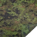 Canada Jungle