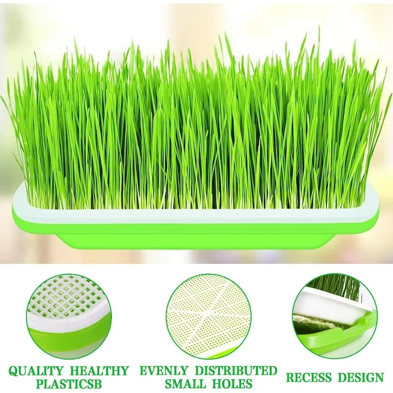 Microgreens Sprout Tray Germination Tray Double Layer Sprout Hydroponics Tray Plate Nursery Pots Soilless Cultivation Planting - view 4