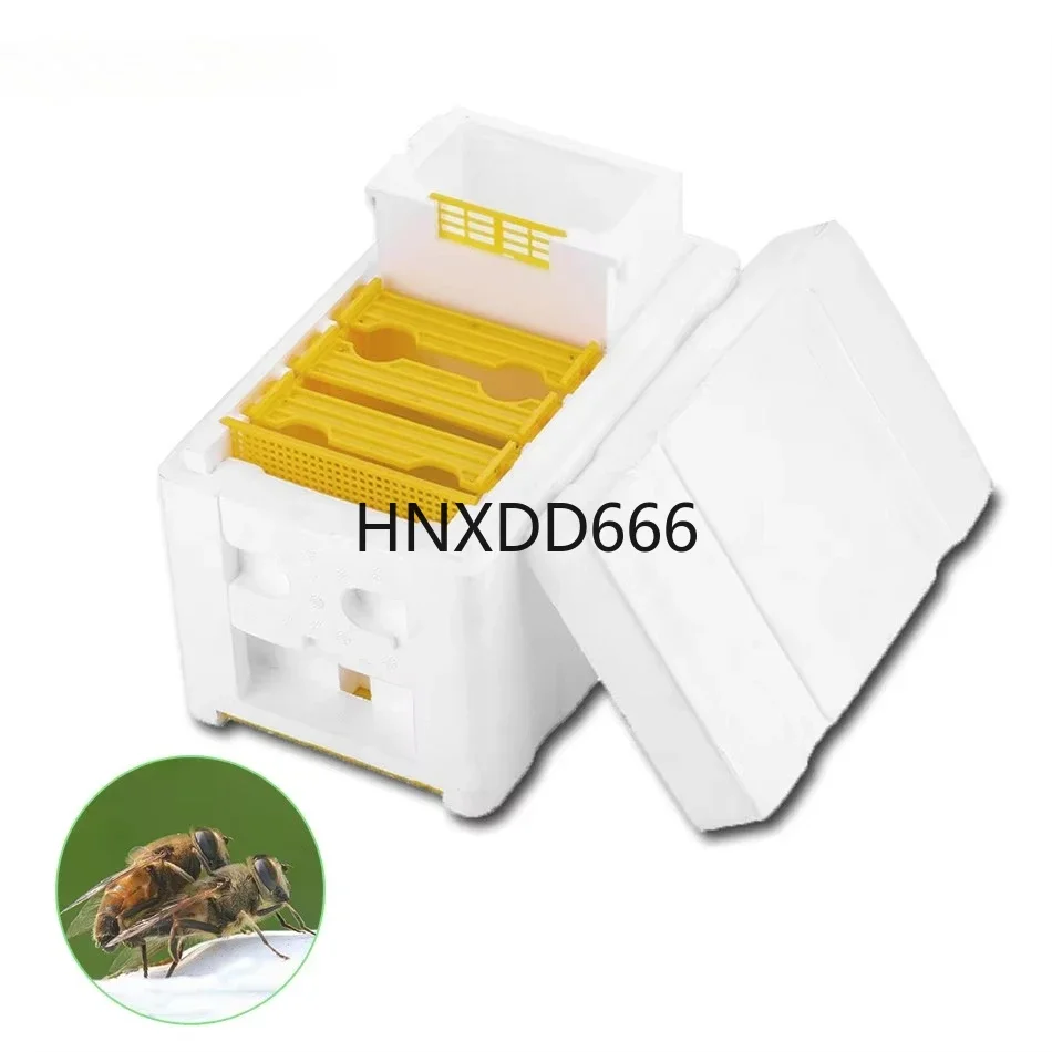 Beekeeping Supplies Mating Box Bee Breeding Box Mini Beehive Box