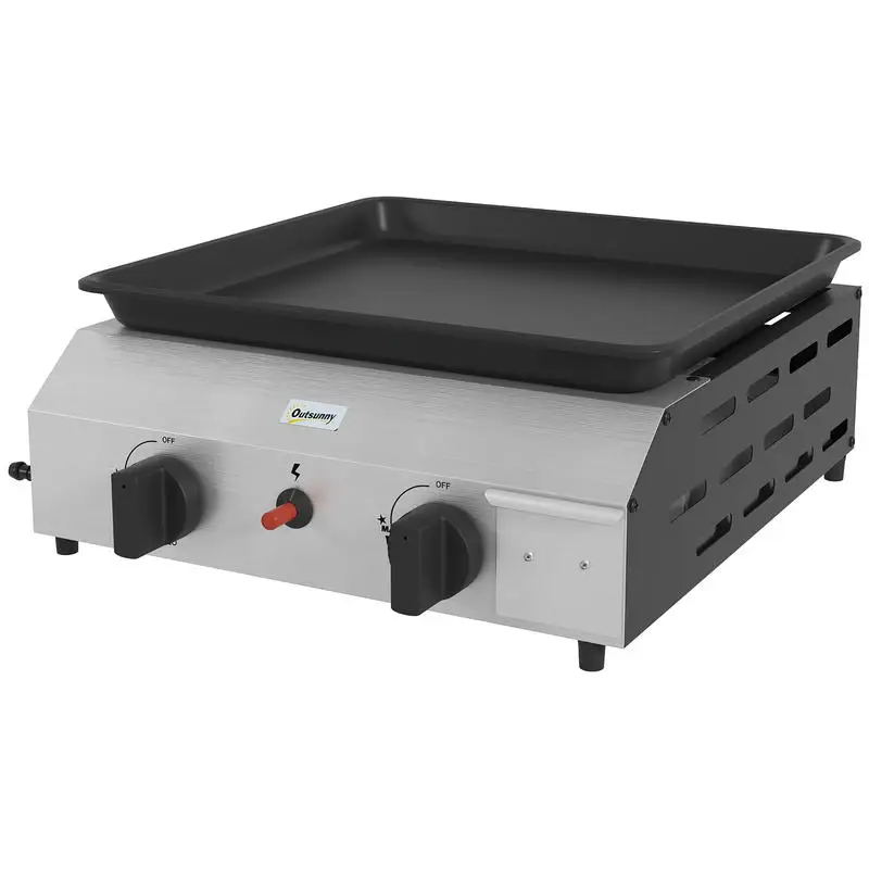Barbecue à gaz en acier inoxydable émaillé avec 2 brûleurs, 4,8 kW, grande surface de cuisson antiadhésive 40L x 34W cm, portable