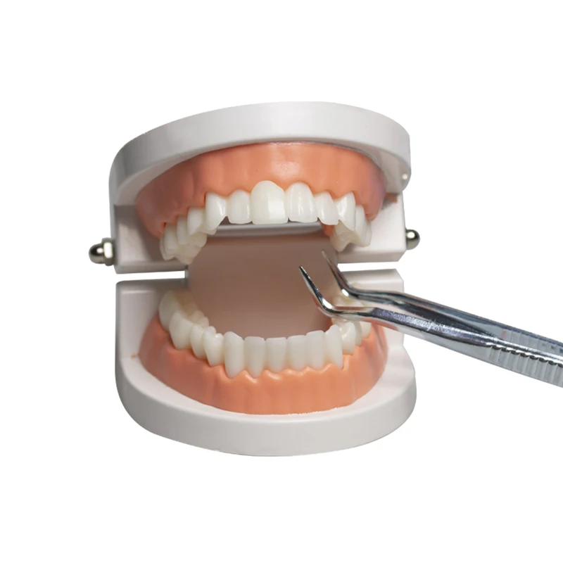 

Практическая модель с цельнокерамической облицовкой включает в себя одну модель зуба и 16 тренировочных виниров.
