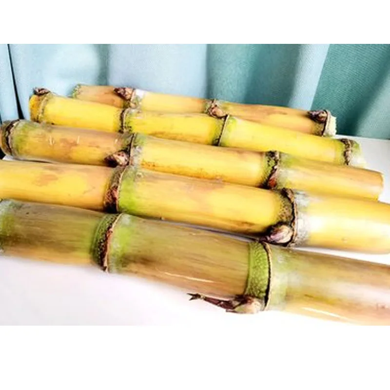 Sugar Cane Peeler Commercial Sugarcane Peeling Machine