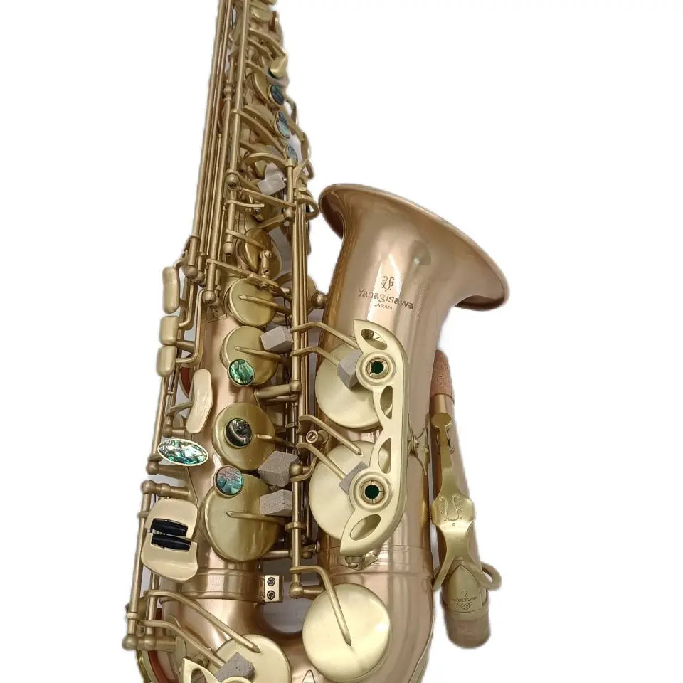 Japan Alto Saxophone A-WO10 one to one structure model Gold copper Eb Tune Sax Alto Woodwind instruments with box mouthpiece