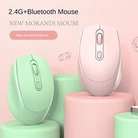 Wireless Silent Mouse Bluetooth 2.4G Dual Mode Mute Charging Portable Mouse 1200DPI Optical for Laptop PC Macbook Game Office