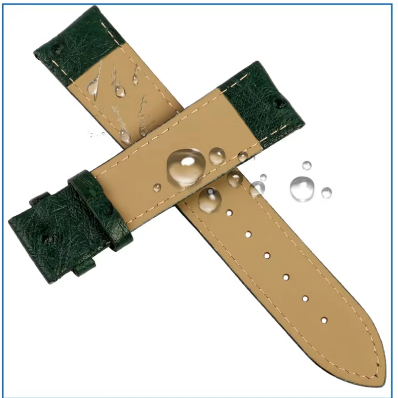 19mm 20mm 21m 22mm Ostrich leather Watch Strap Black Green Brown Women Men Watchband Accessories For longines Seiko Omega Tissot