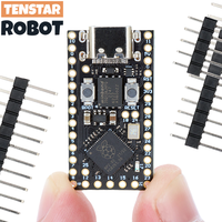 TENSTAR RP2040 Pro Micro Development Board 4MB/16MB Dual-Core Supports Mciro Python Compatible For Raspberry PI PICO