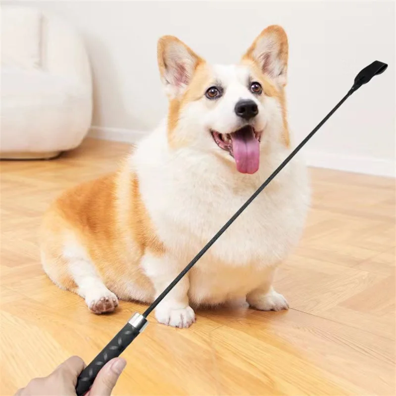 Dog Outdoor Training Pole Riding Crop Whip For Equestrian Sports Dog Training Pole Dog Teaser Wand For Small Medium Large Dogs