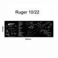 Ruger 10 22