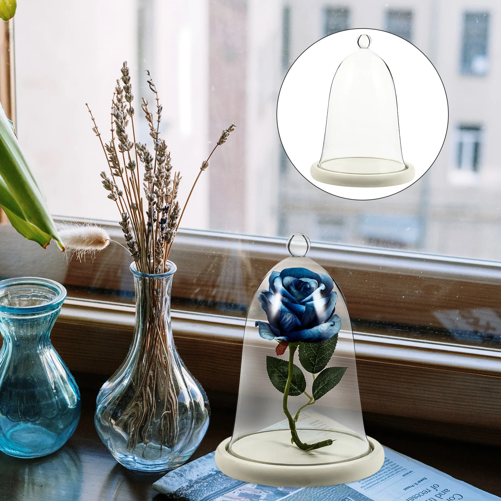 

1Set Preserved Flower Glass Cover Micro Landscape Eternal Flower Display Dome Home Decor Desktop Adornment Glass Dome Cover