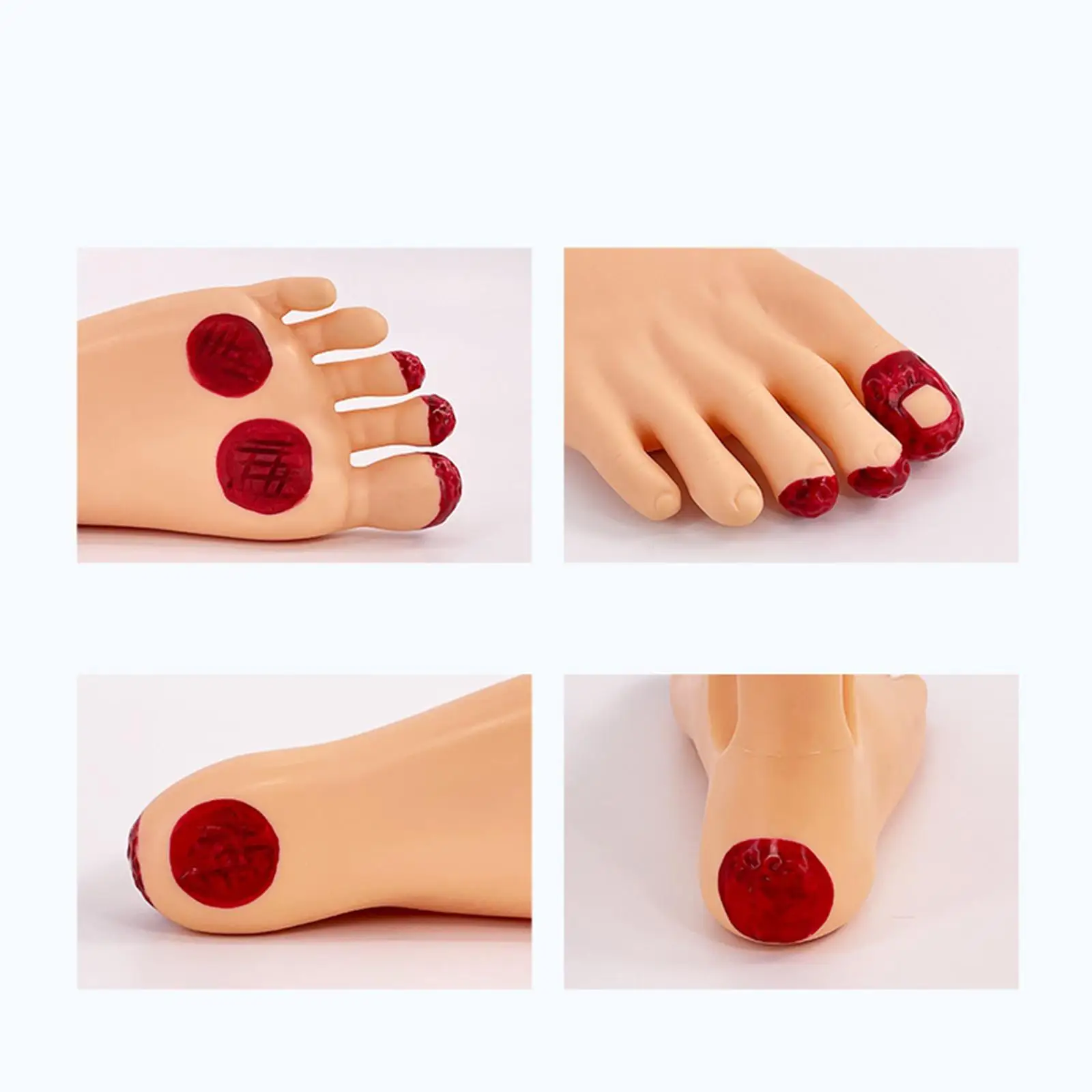 Diabetes Foot Nursing Model for Medical Study Science Classroom Science