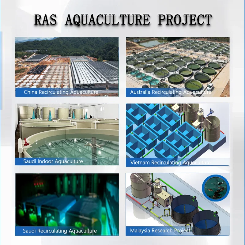 Industrial Recirculating Aquaculture System for Shrimp Farming Ras Water Treatment Equipment With Biofilter and Oxygenation