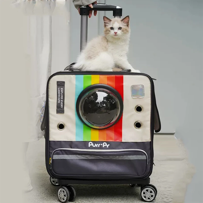 

Wheels Carrier Cats Carriers Backpack Small Dogs Pet Travel Animal Cats Carriers Outdoor Cute Mochila Gato Pets Accessories