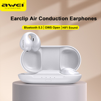 Awei TZ2 OWS Air Conduction Bluetooth Earphones V5.3 Earbuds Ear Hook Sports Headset with Mic Wireless Headphones Earclip