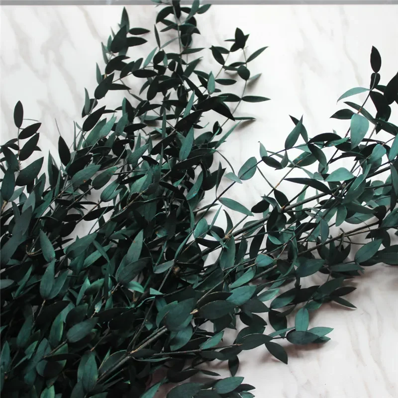 Eternelle Eucalyptus Decorative Dried Flowers Preserved Eucalyptus ,Eucalyptus Leaves Camaldulensis Garland For Home Wedding