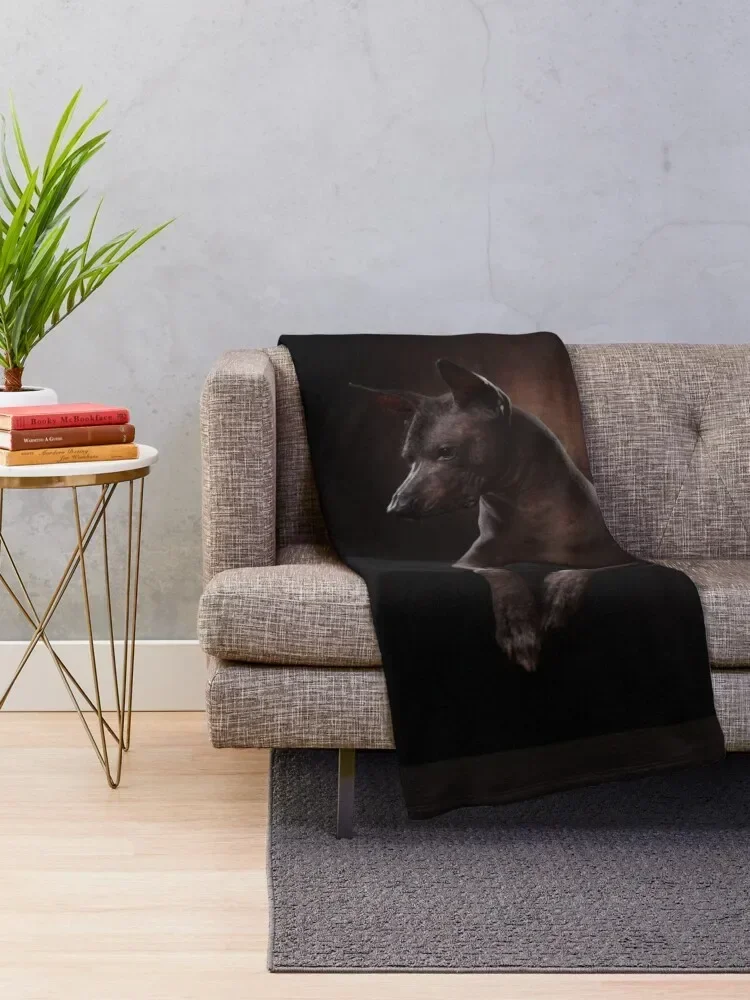 Xoloitzcuintle Throw Blanket Luxury St Bed covers Sofa Quilt Hairys Blankets