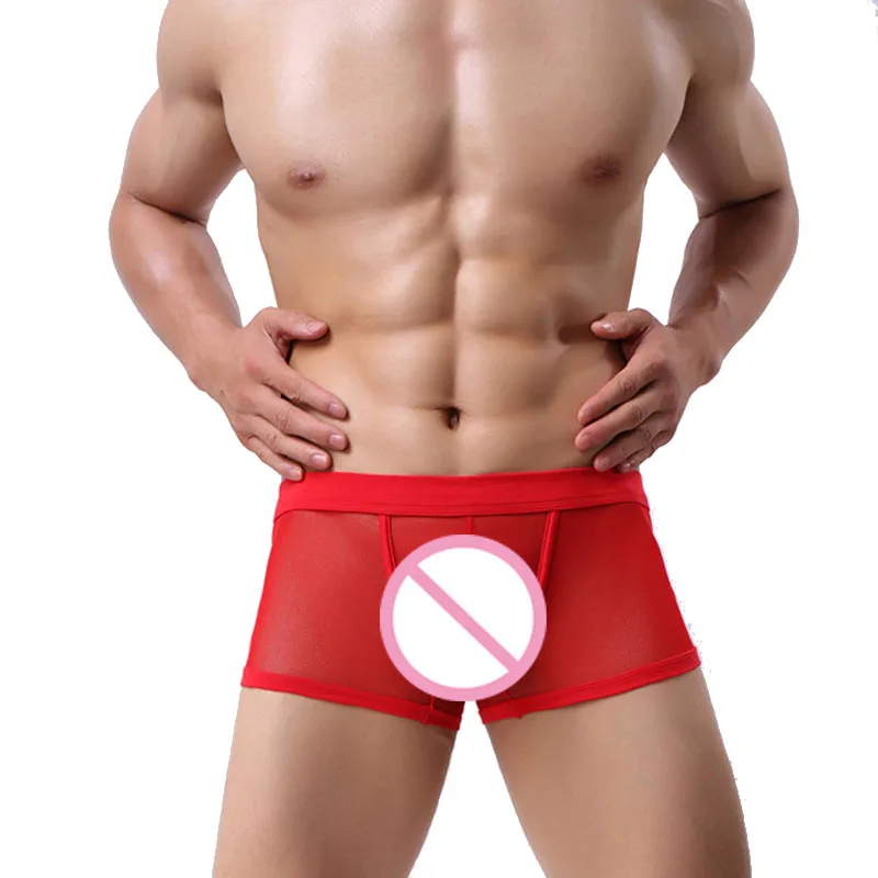 CLEVER-MENMODE Mens Transparent Underwear Mesh Boxer Cueca Sexy Boxers Shorts Underpants Panties Trunks Hollow Lingerie