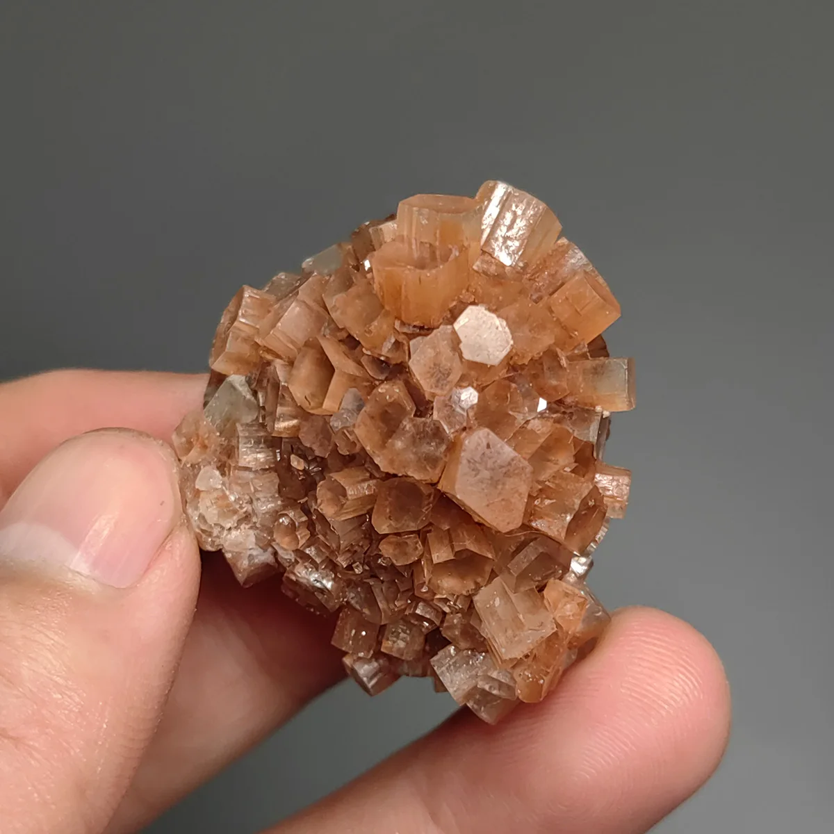 C5-1B 100% Natural Columnar Aragonite Mineral Specimens Stones and Crystals Healing Crystal