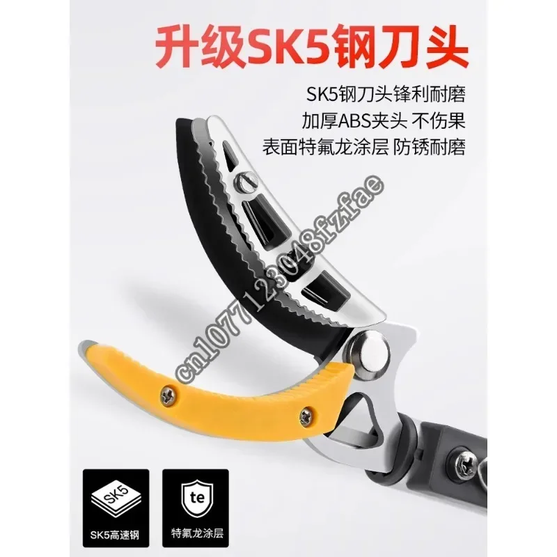 Tijeras de podar para recoger frutas, tijeras telescópicas para recoger frutas de gran altitud, recogedor extendido, lichi, panqueques, longan h