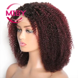 Wear And Go Human Hair Wig Short Curly Human Hair Wigs for Black Women Short Bob 4x4 Closure Wig Ready To Go