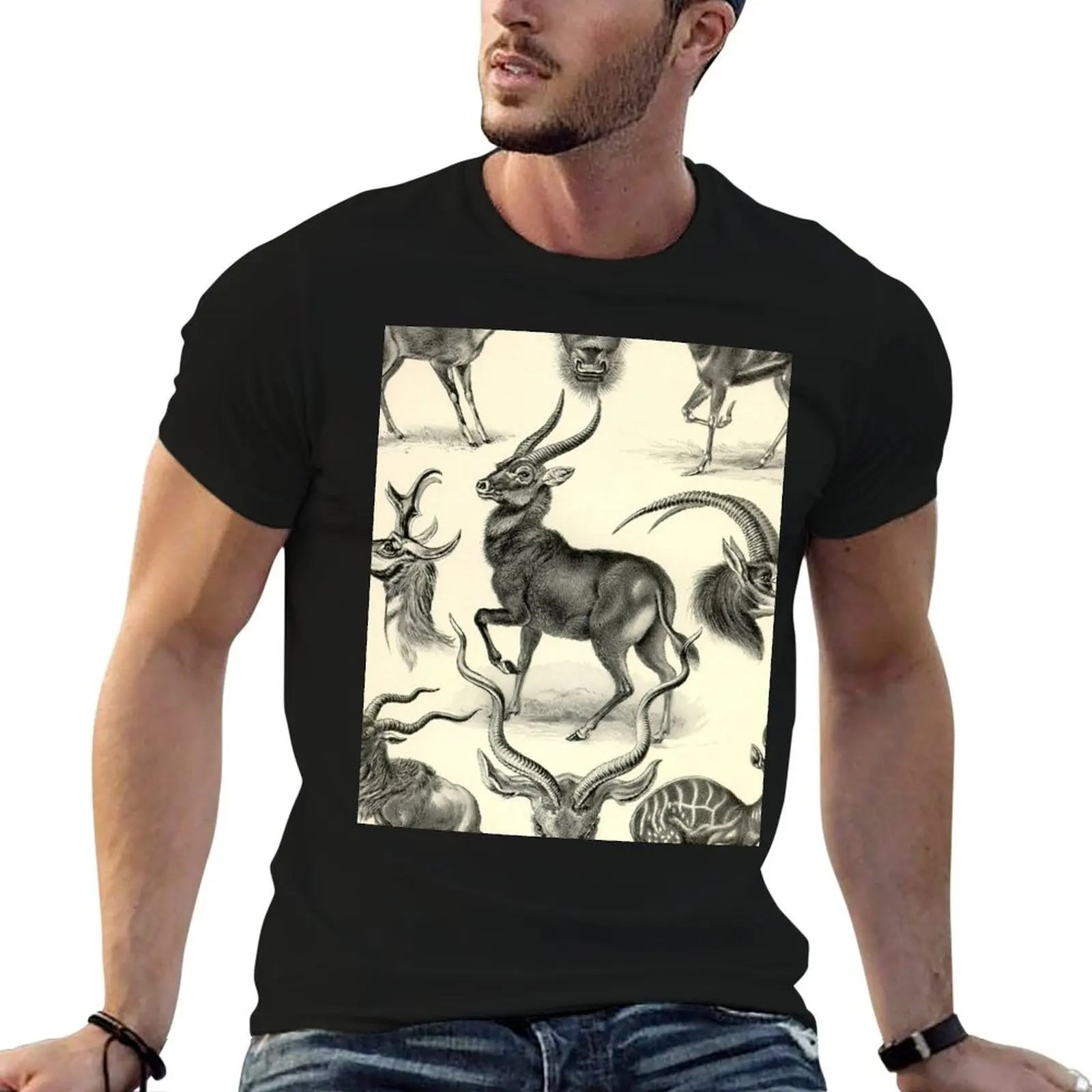

Antilope - Ernst Haeckel T-Shirt vintage graphic tee oversized graphic tee mens white t shirts